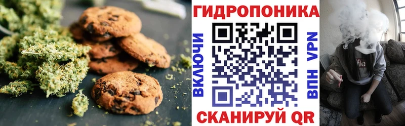 Купить закладки  Гатчина  Печенье с ТГК марихуана 