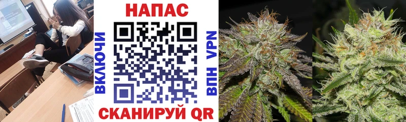 Шишки марихуана SATIVA & INDICA  Купить закладки  Гатчина 